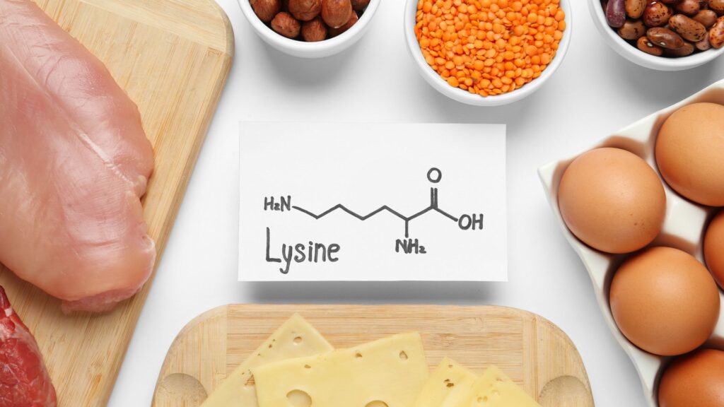 image of L-Lysine